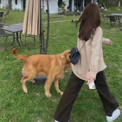 步行百态